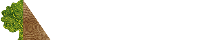 logo dark